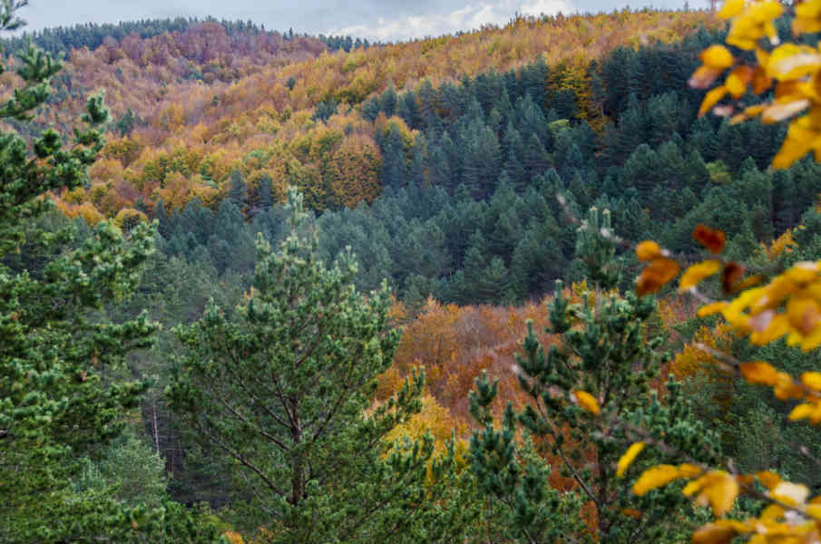 Comunidad Foral de Navarra 016 - valle de Salazar.jpg